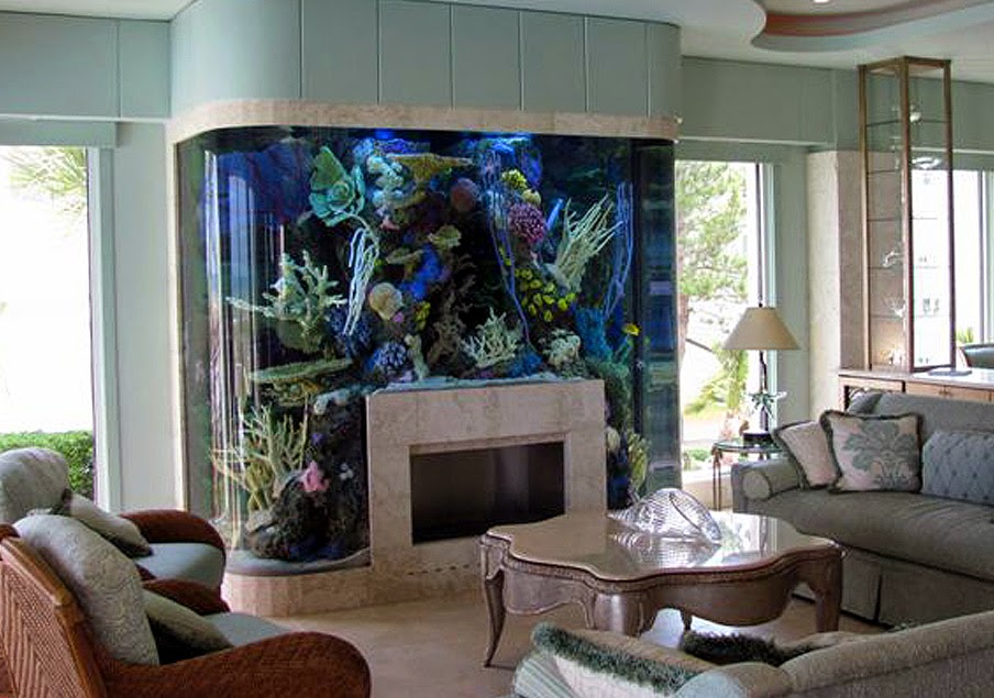 Here Fishy, Fishy  Best Ways to Display Your Home Aquarium – H.A.  Construction Design